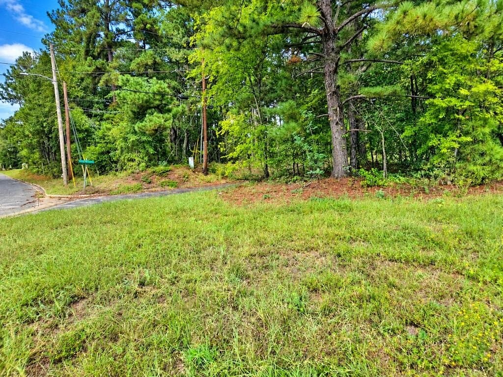 1.79 acres in Texas County - photo 2