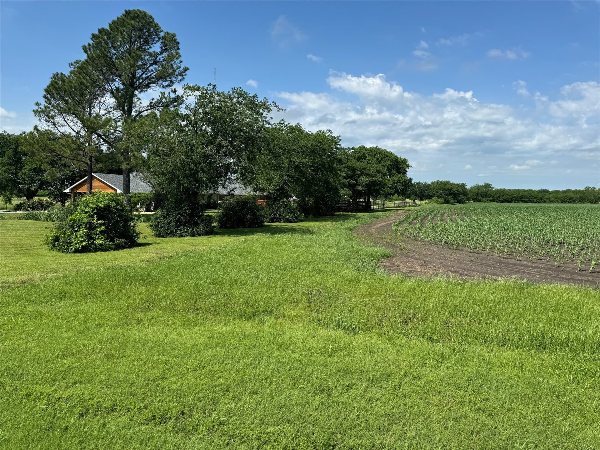40 acres in Grayson County - photo 8