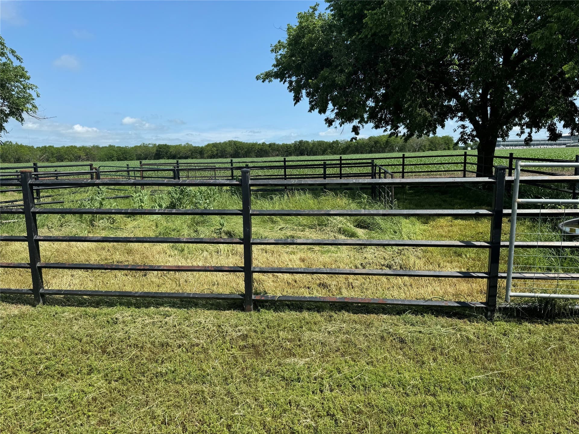 40 acres in Grayson County - photo 14