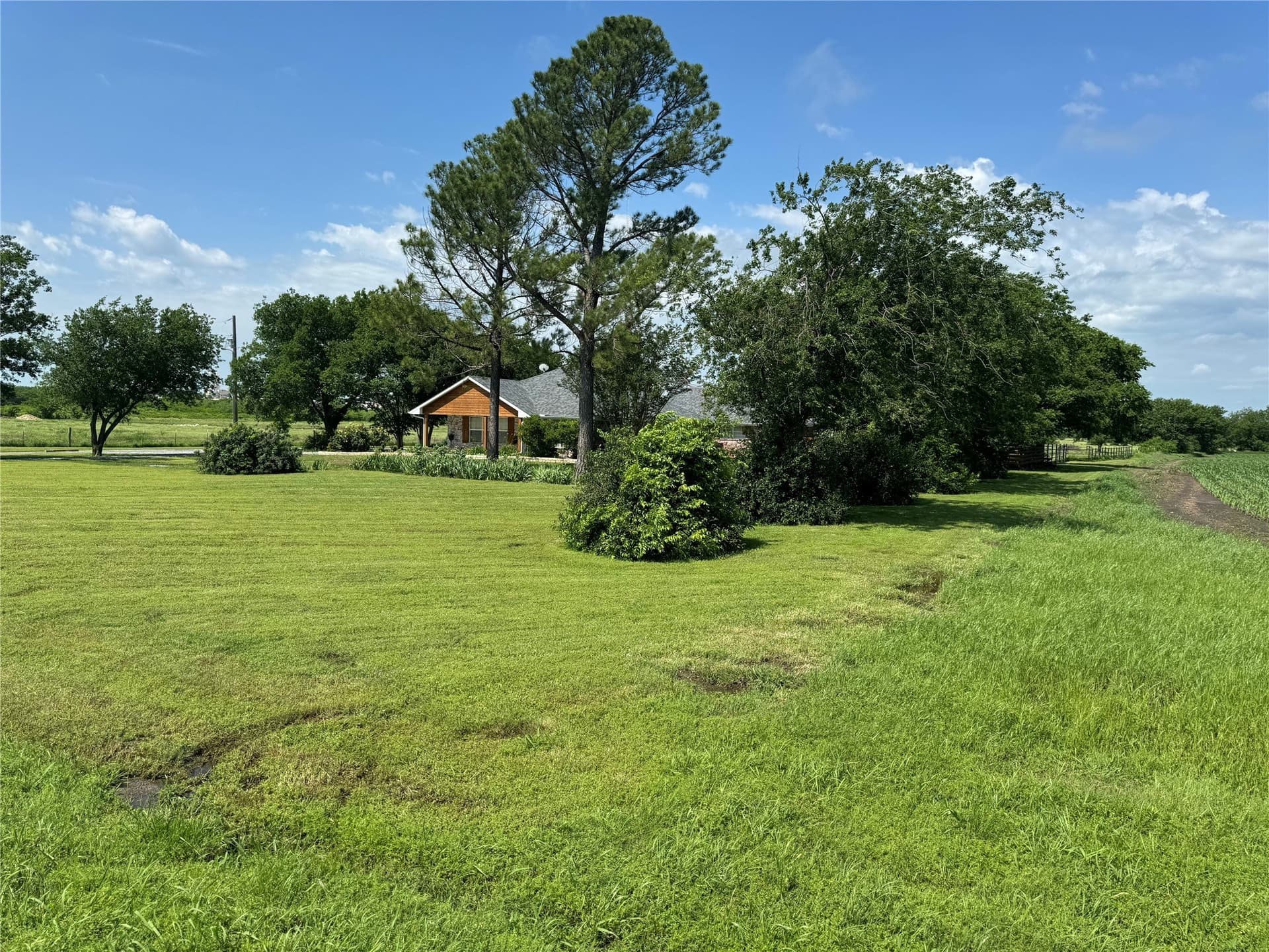 40 acres in Grayson County - photo 15
