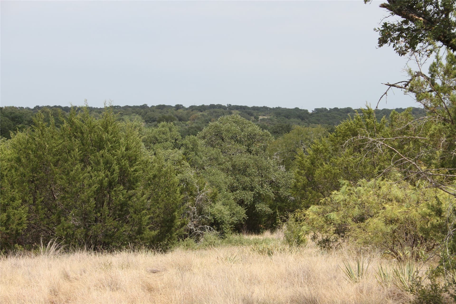 20.1 acres in San Saba County - photo 12