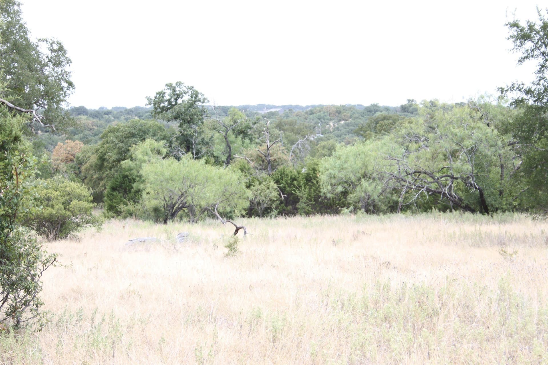 20.1 acres in San Saba County - photo 17