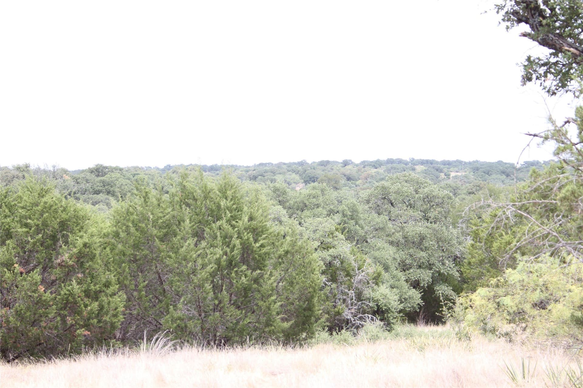 20.1 acres in San Saba County - photo 25