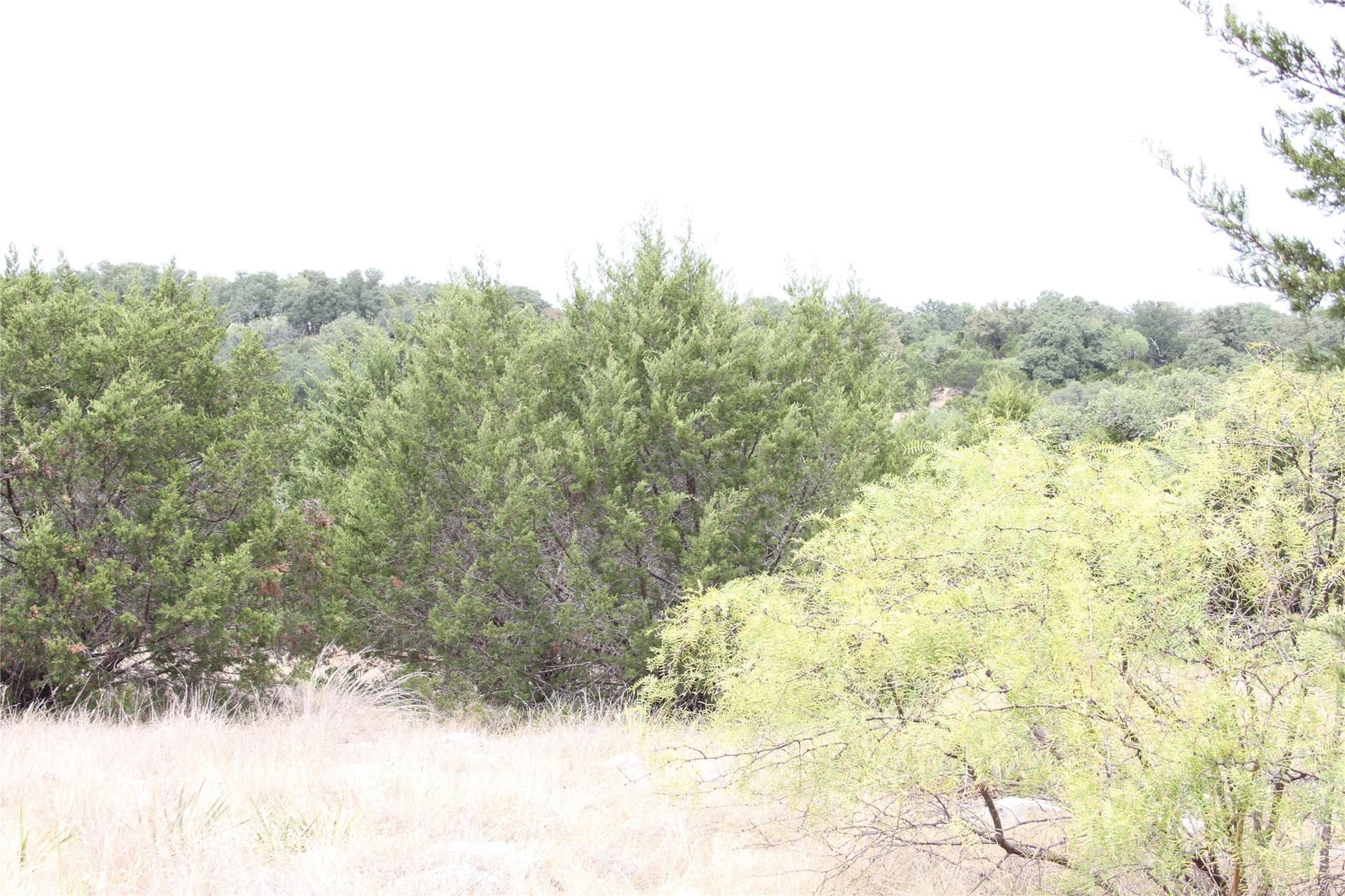 20.1 acres in San Saba County - photo 24