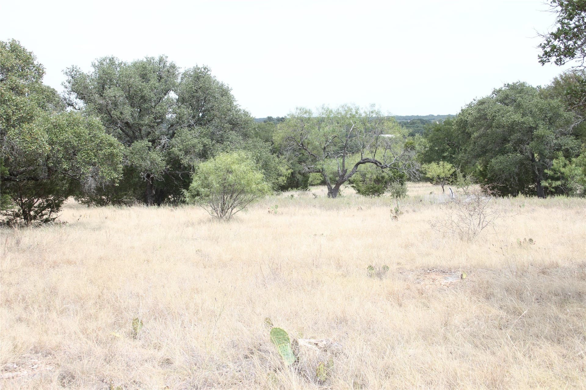 20.1 acres in San Saba County - photo 15
