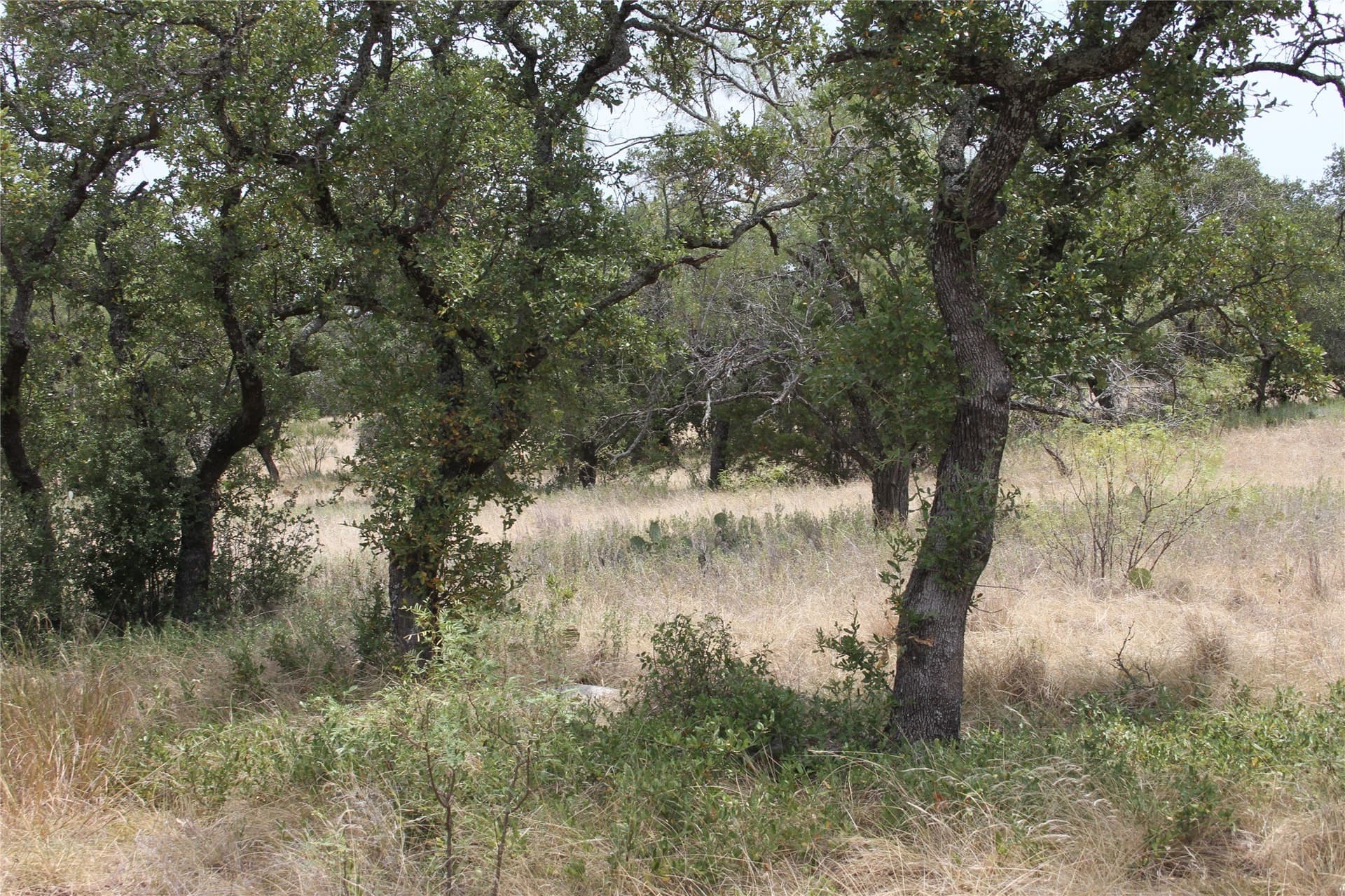 20.1 acres in San Saba County - photo 13
