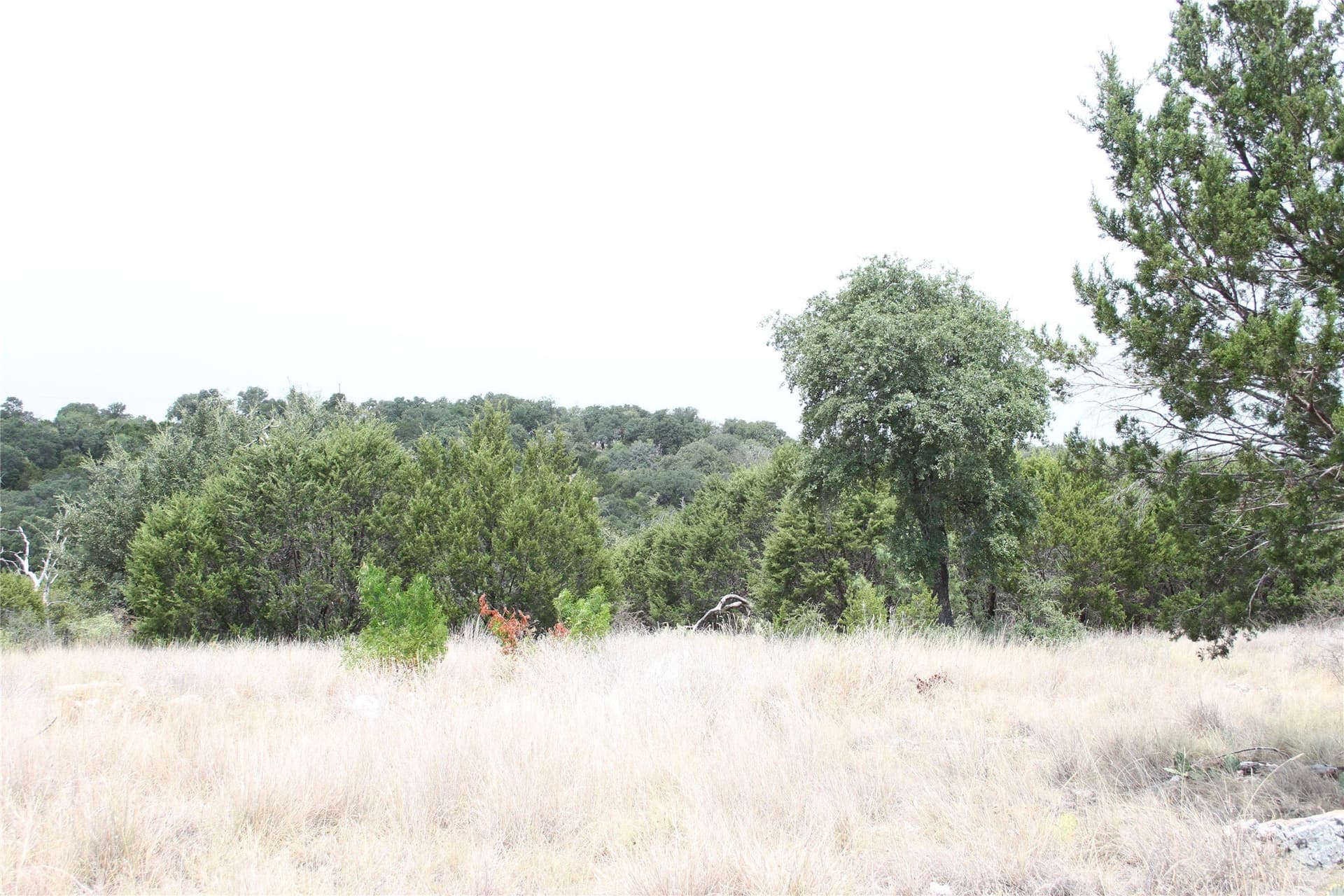 20.1 acres in San Saba County - photo 10