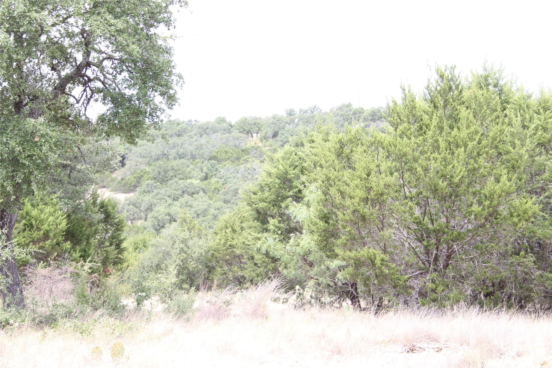 20.1 acres in San Saba County - photo 26