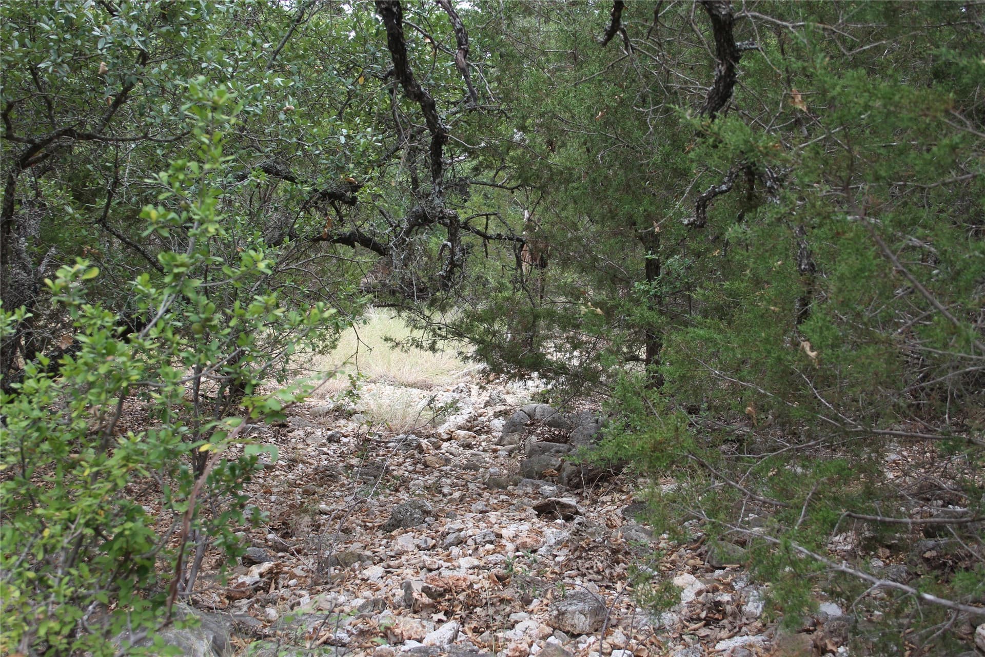 20.1 acres in San Saba County - photo 21