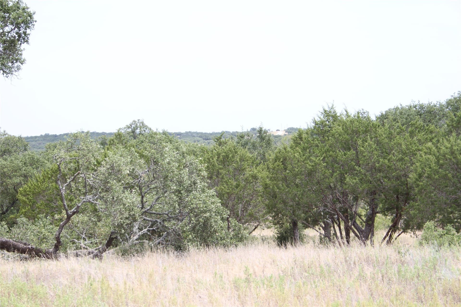20.1 acres in San Saba County - photo 27