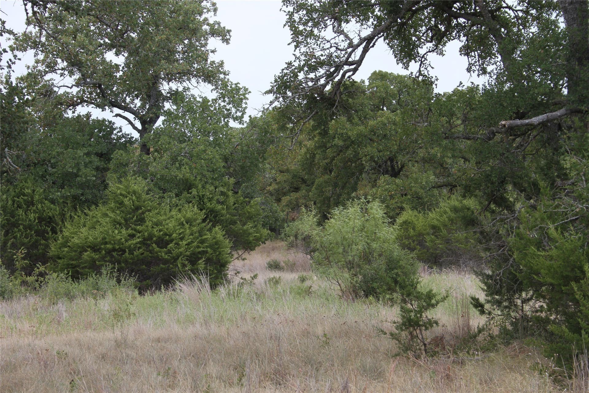 20.1 acres in San Saba County - photo 18