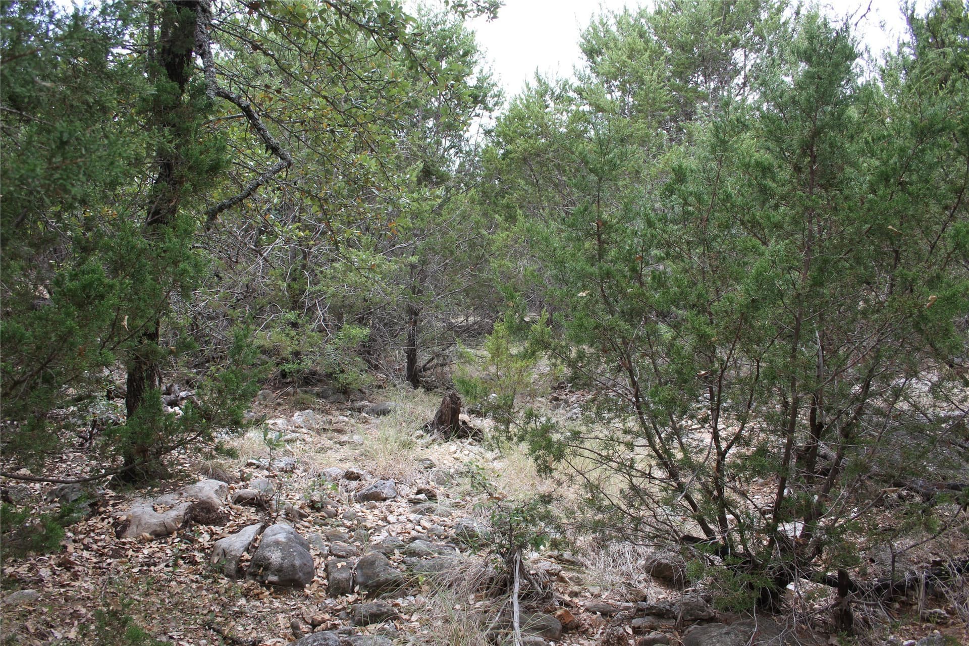 20.1 acres in San Saba County - photo 23