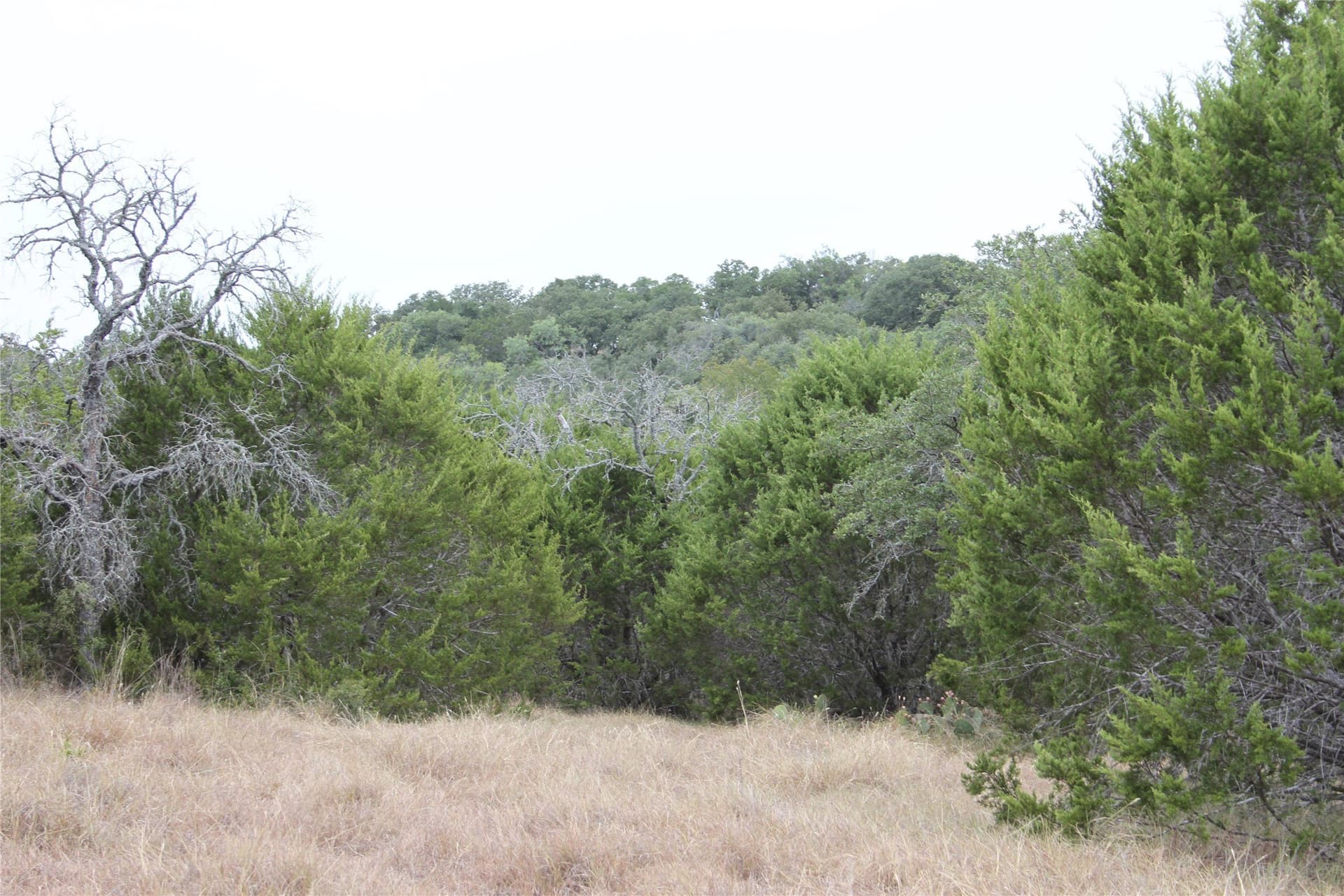 20.1 acres in San Saba County - photo 20
