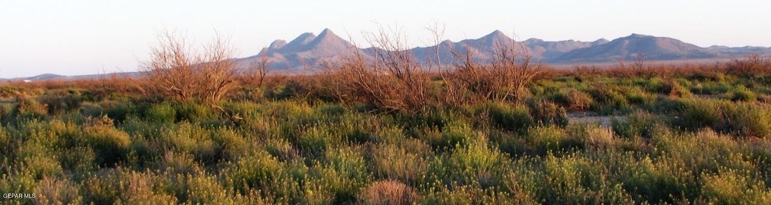 52.08 acres in Hudspeth County featured view