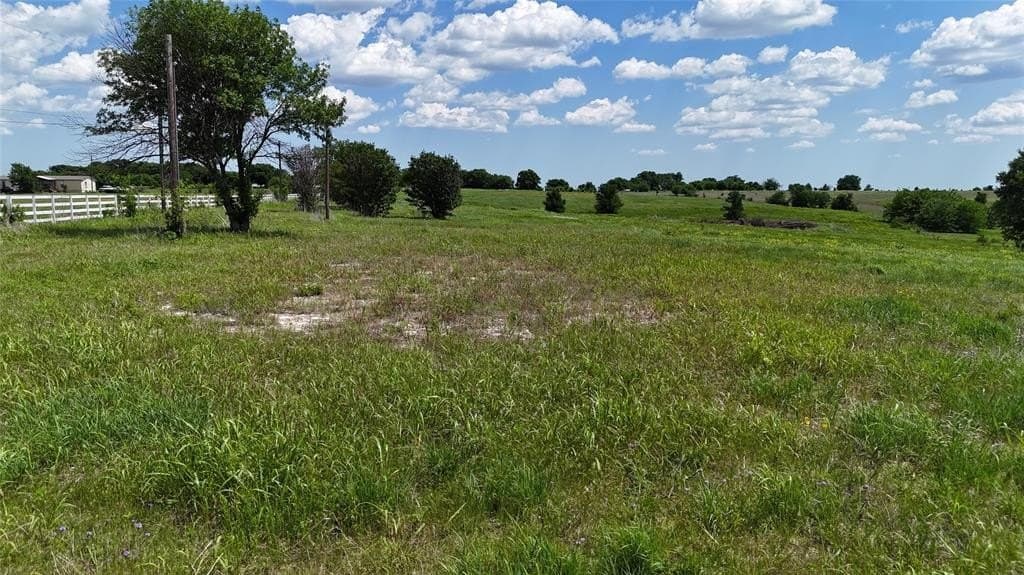 10.01 acres in Cooke County gallery image 3
