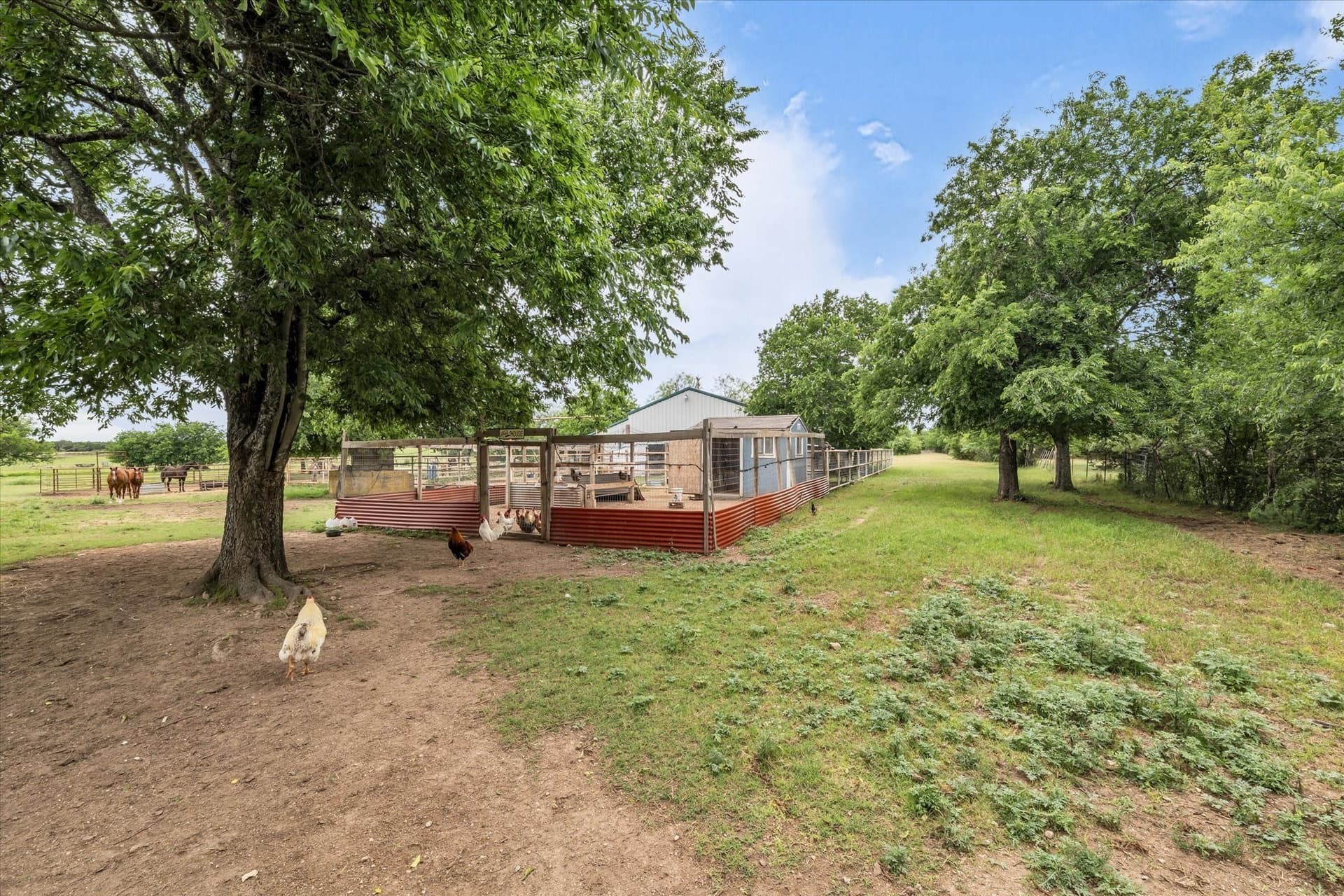 10 acres in Bosque County - photo 9