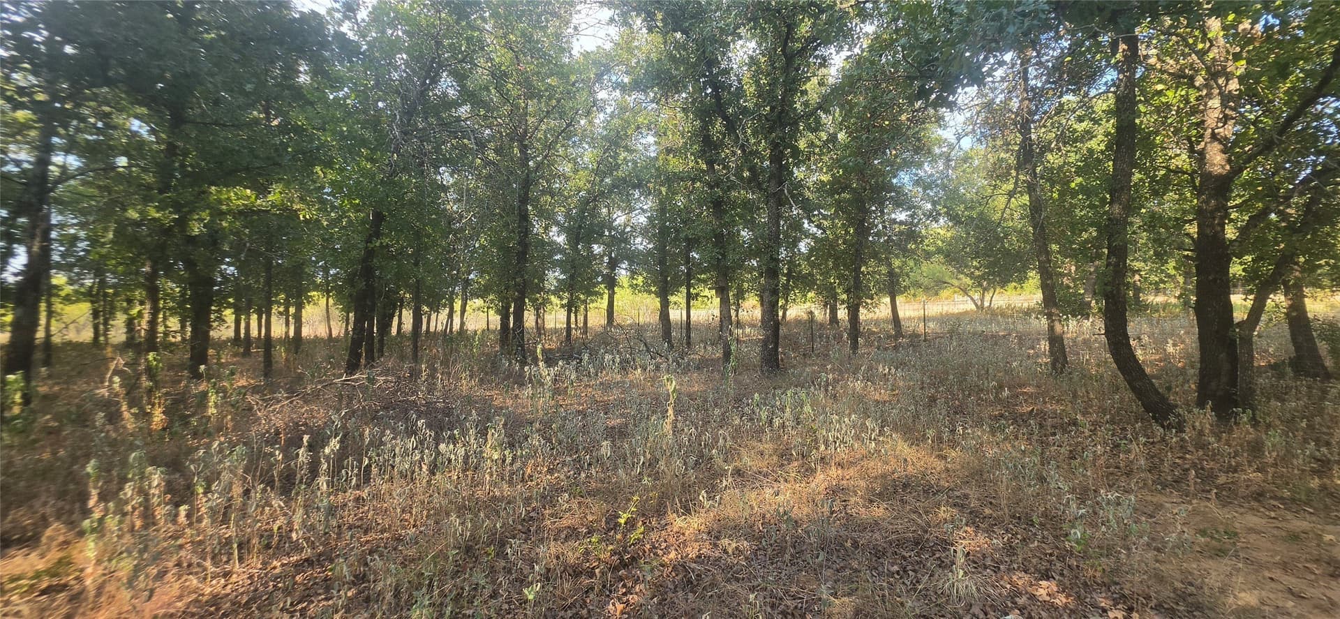 10.13 acres in Comanche County - photo 14