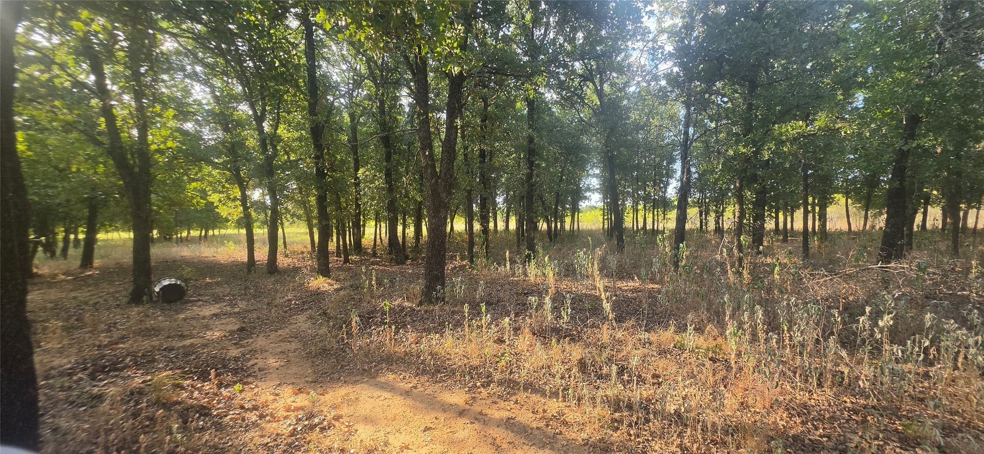 10.13 acres in Comanche County - photo 17