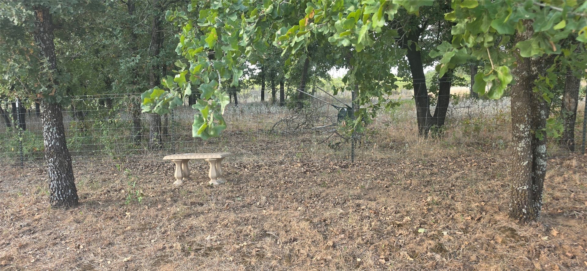 10.13 acres in Comanche County - photo 13