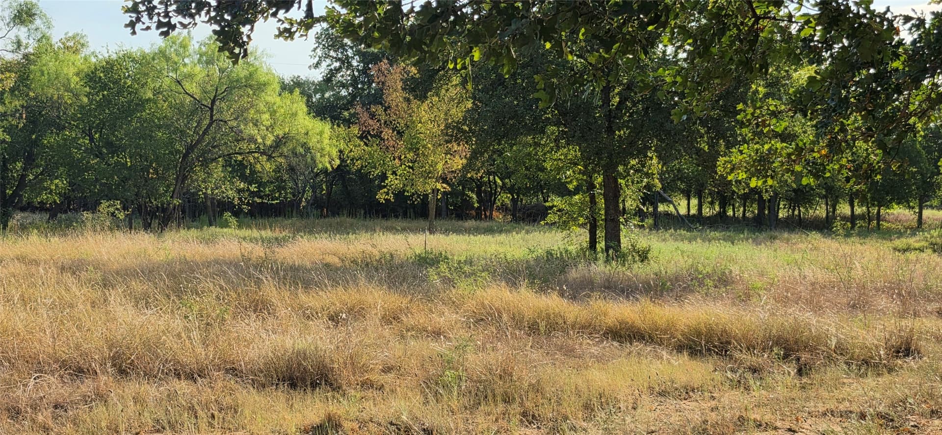 10.13 acres in Comanche County - photo 8