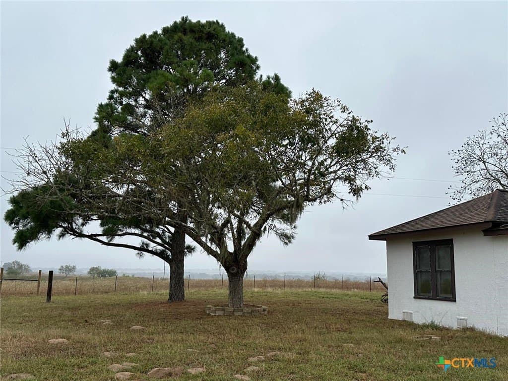 11 acres in Goliad County - photo 8