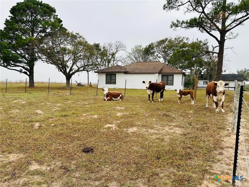11 acres in Goliad County gallery image 2