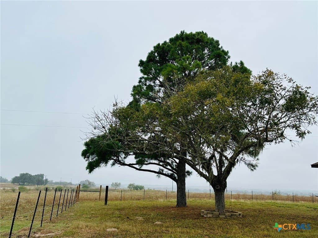 11 acres in Goliad County - photo 7