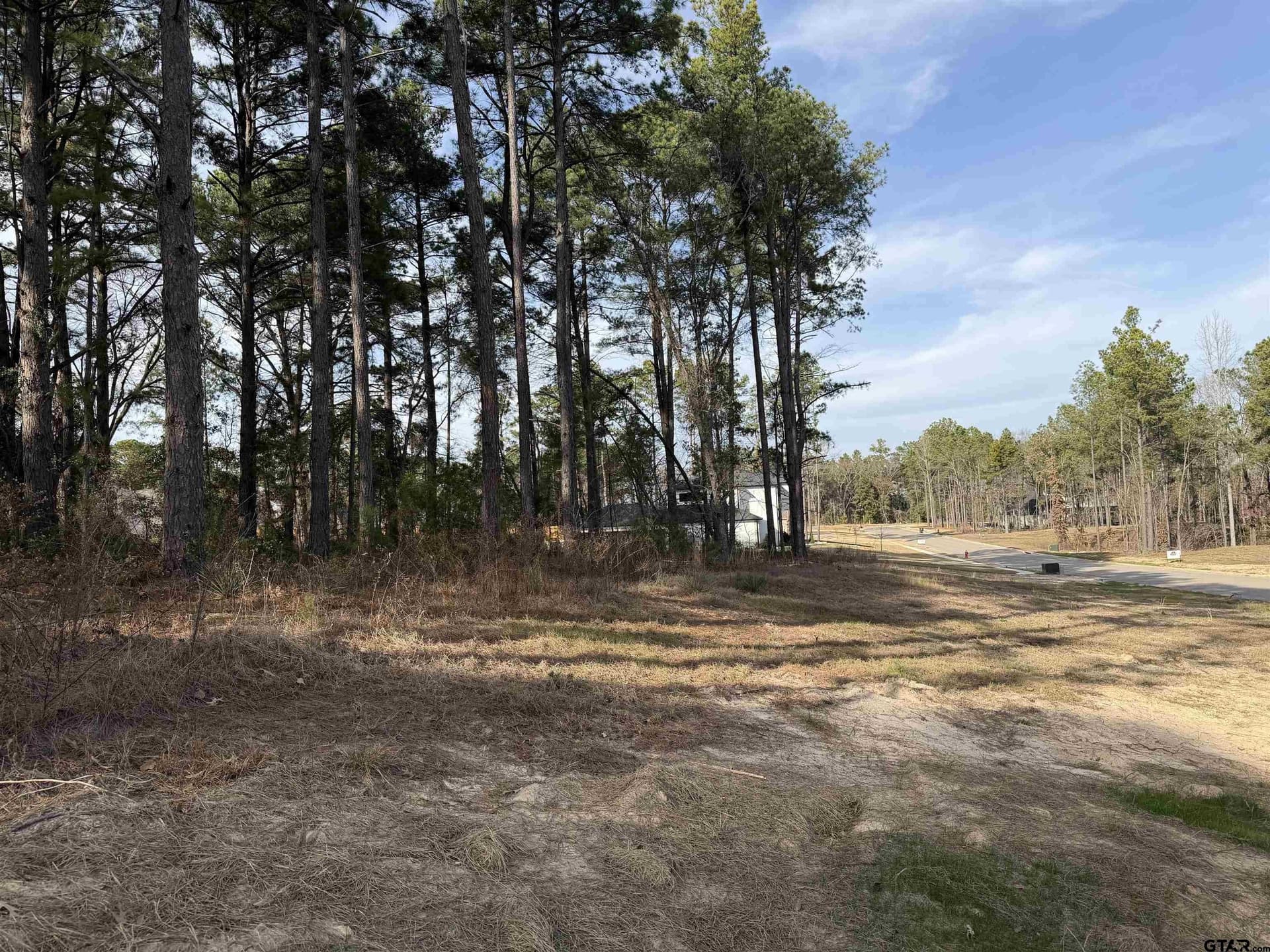 1.07 acres in Smith County - photo 9