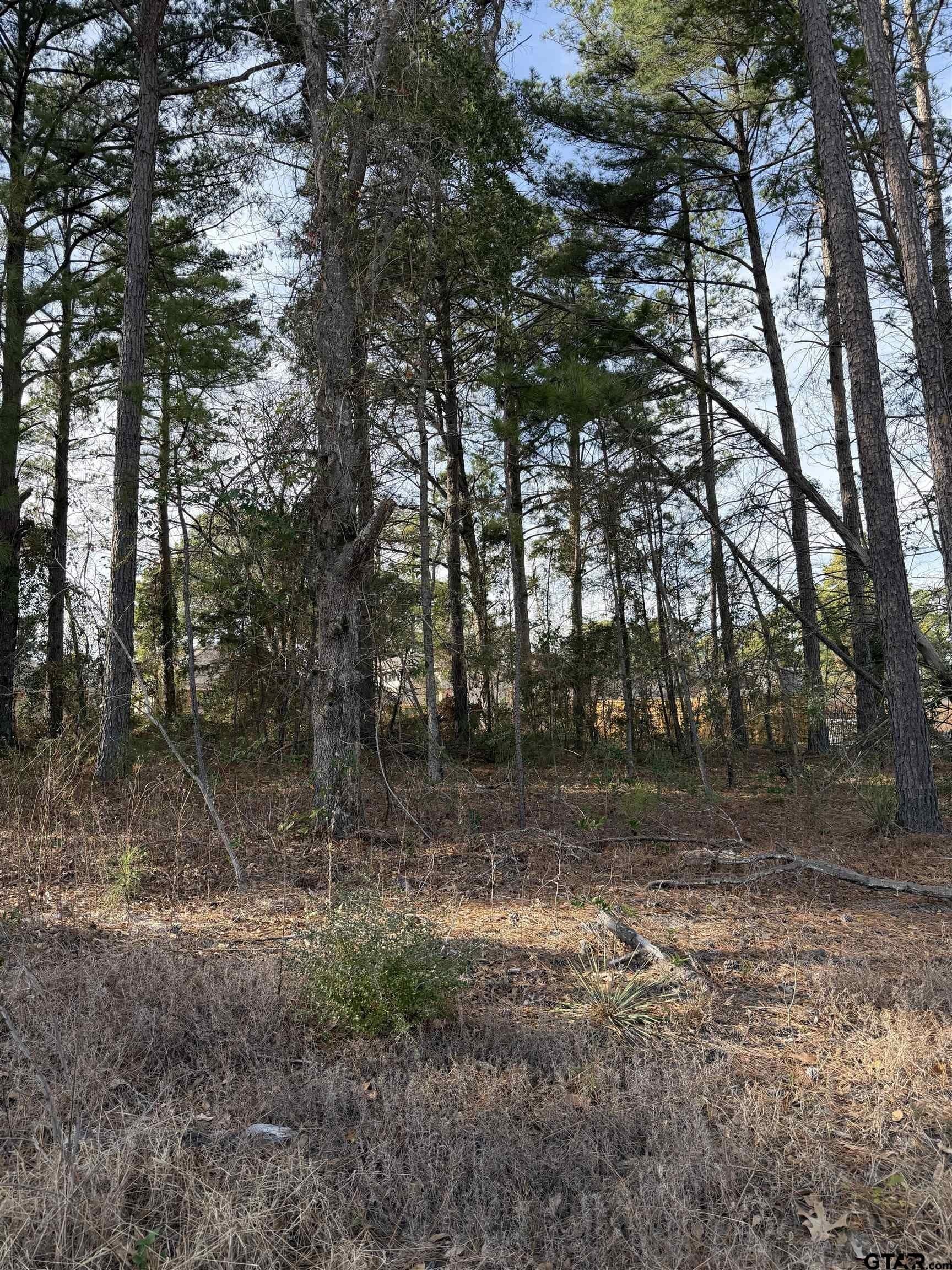 1.07 acres in Smith County - photo 11