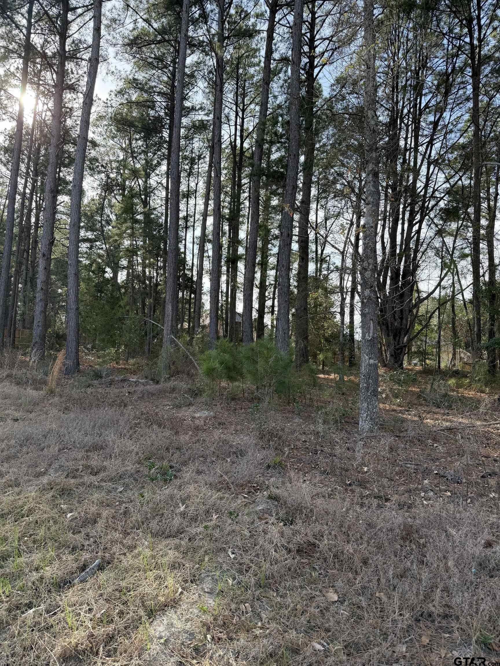 1.07 acres in Smith County - photo 10