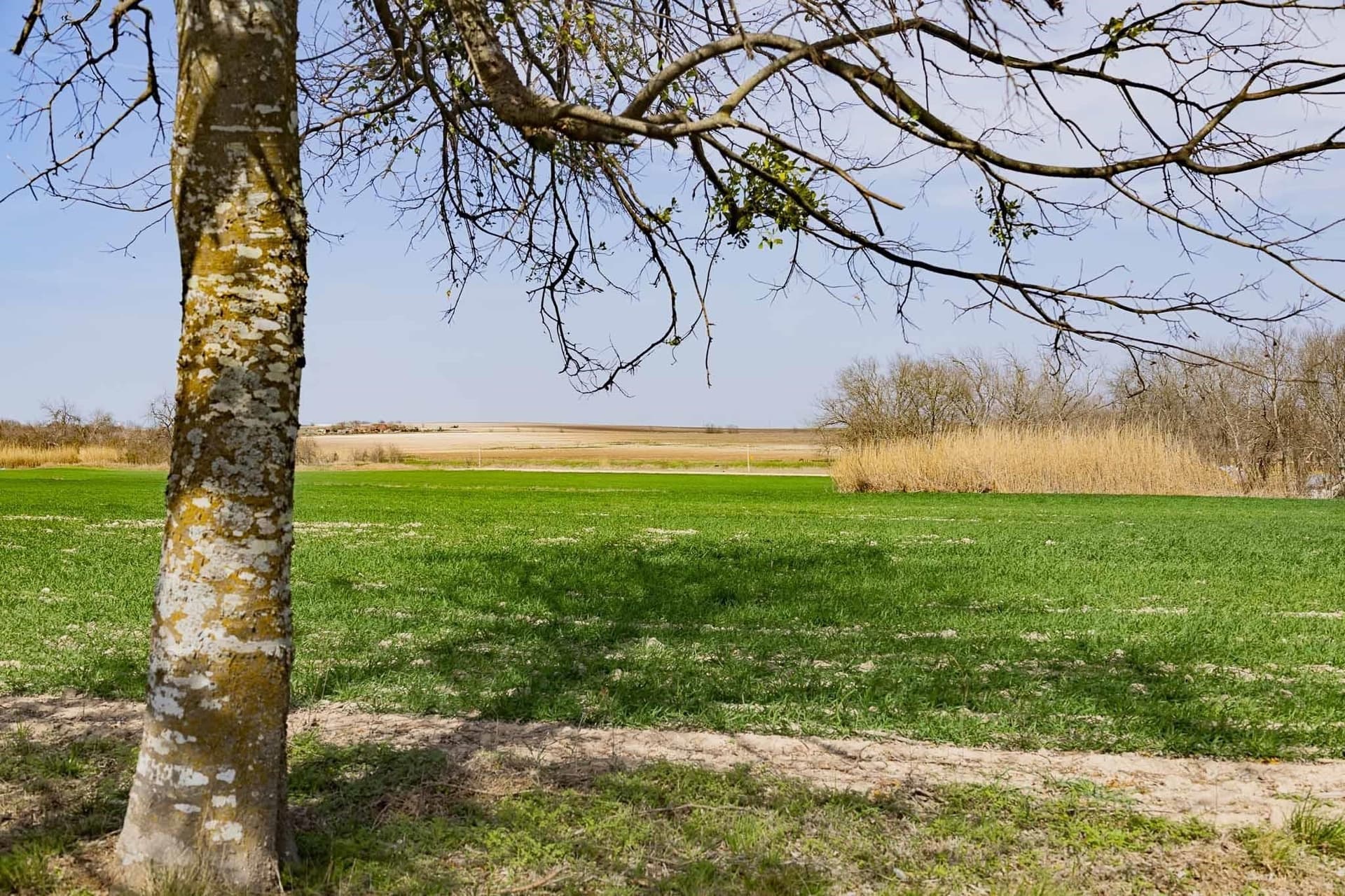 48.31 acres in Williamson County - photo 14