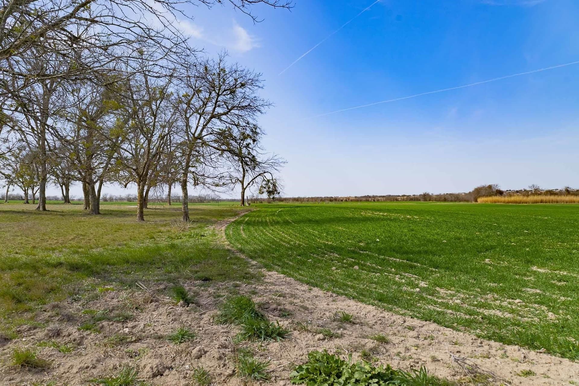 48.31 acres in Williamson County - photo 13