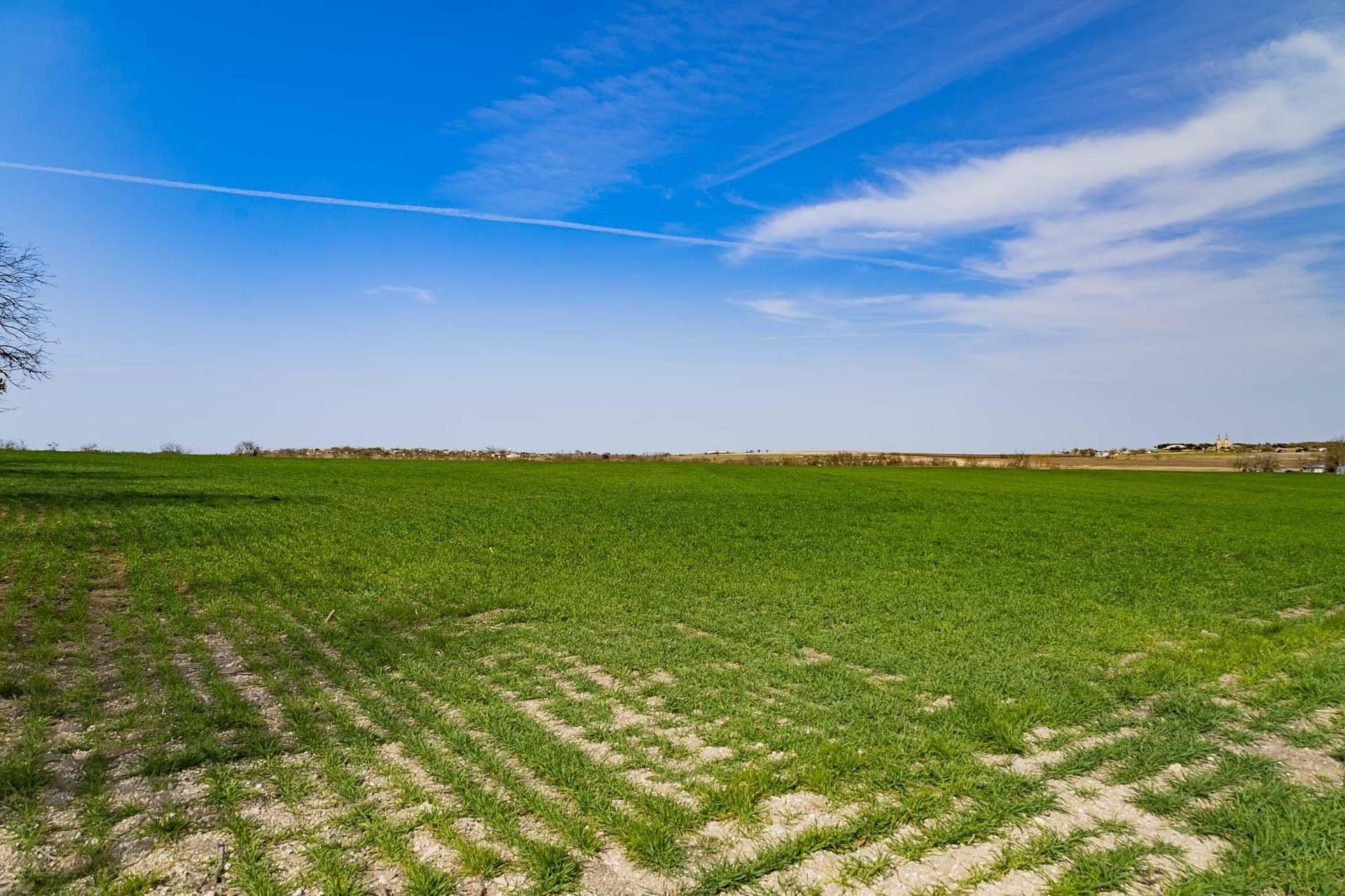 48.31 acres in Williamson County - photo 18