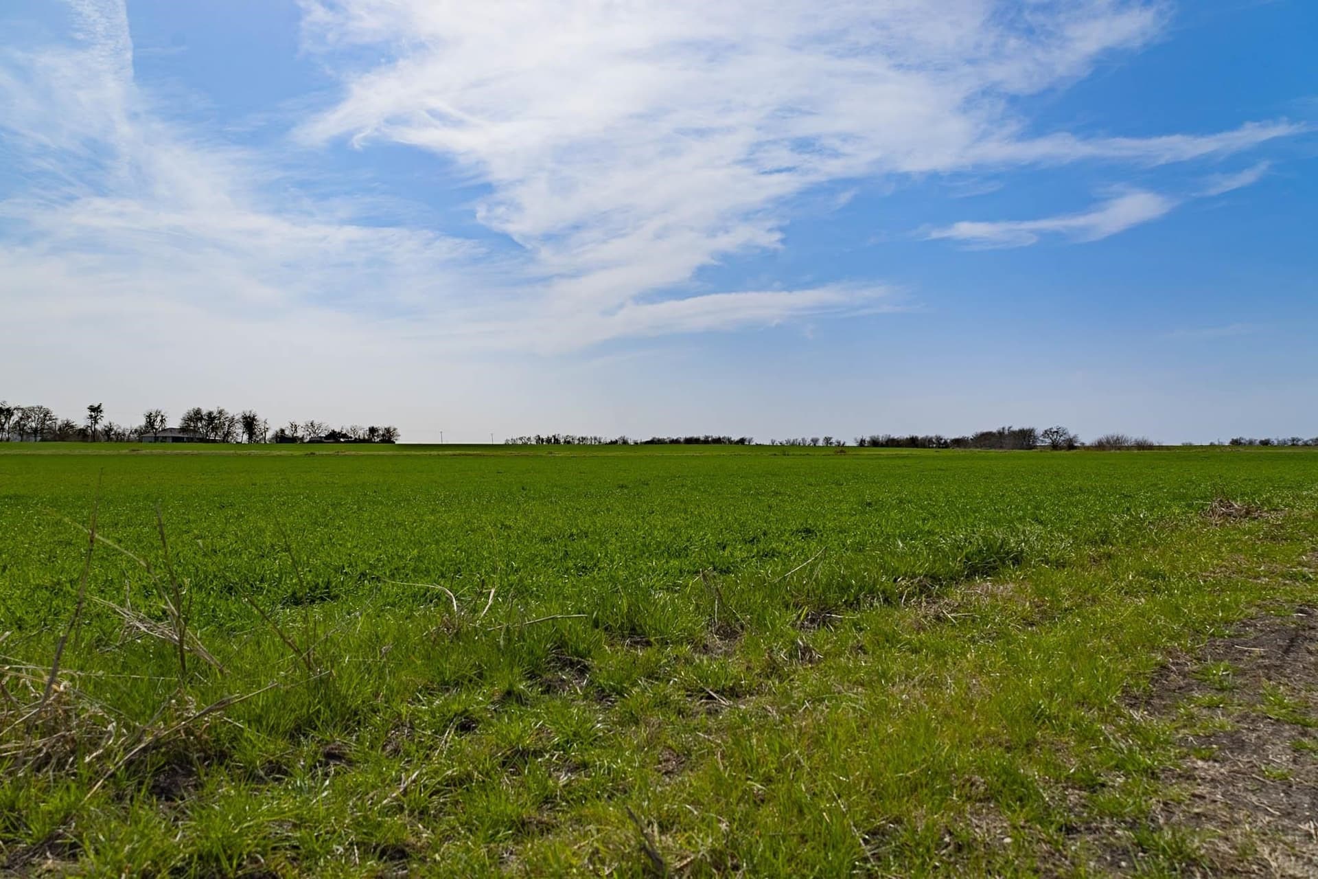 48.31 acres in Williamson County - photo 10