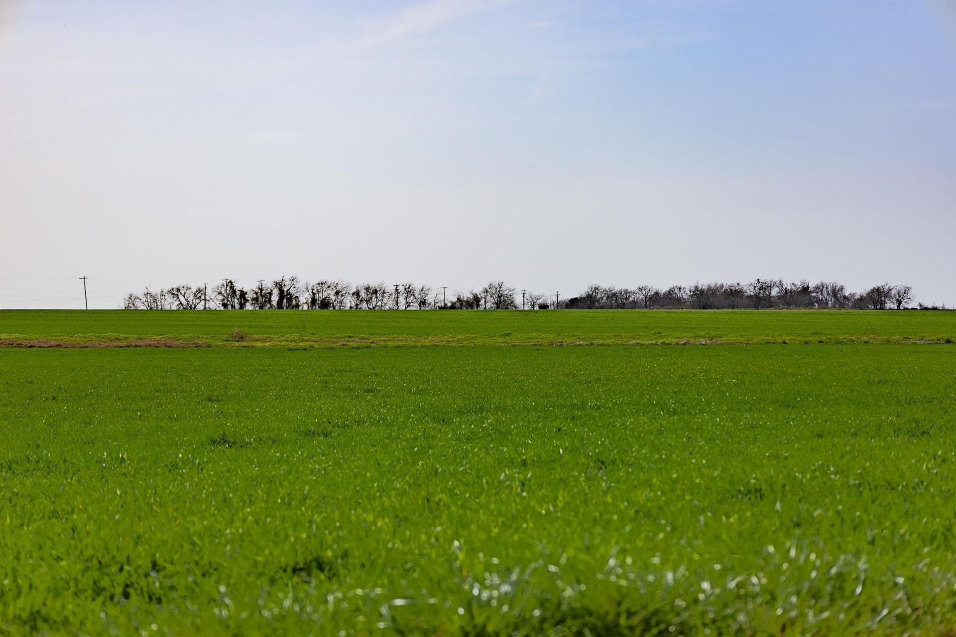 48.31 acres in Williamson County - photo 12