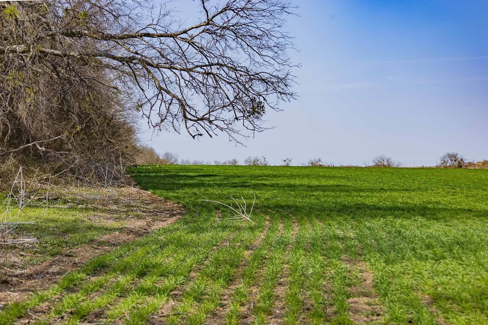 48.31 acres in Williamson County - photo 17