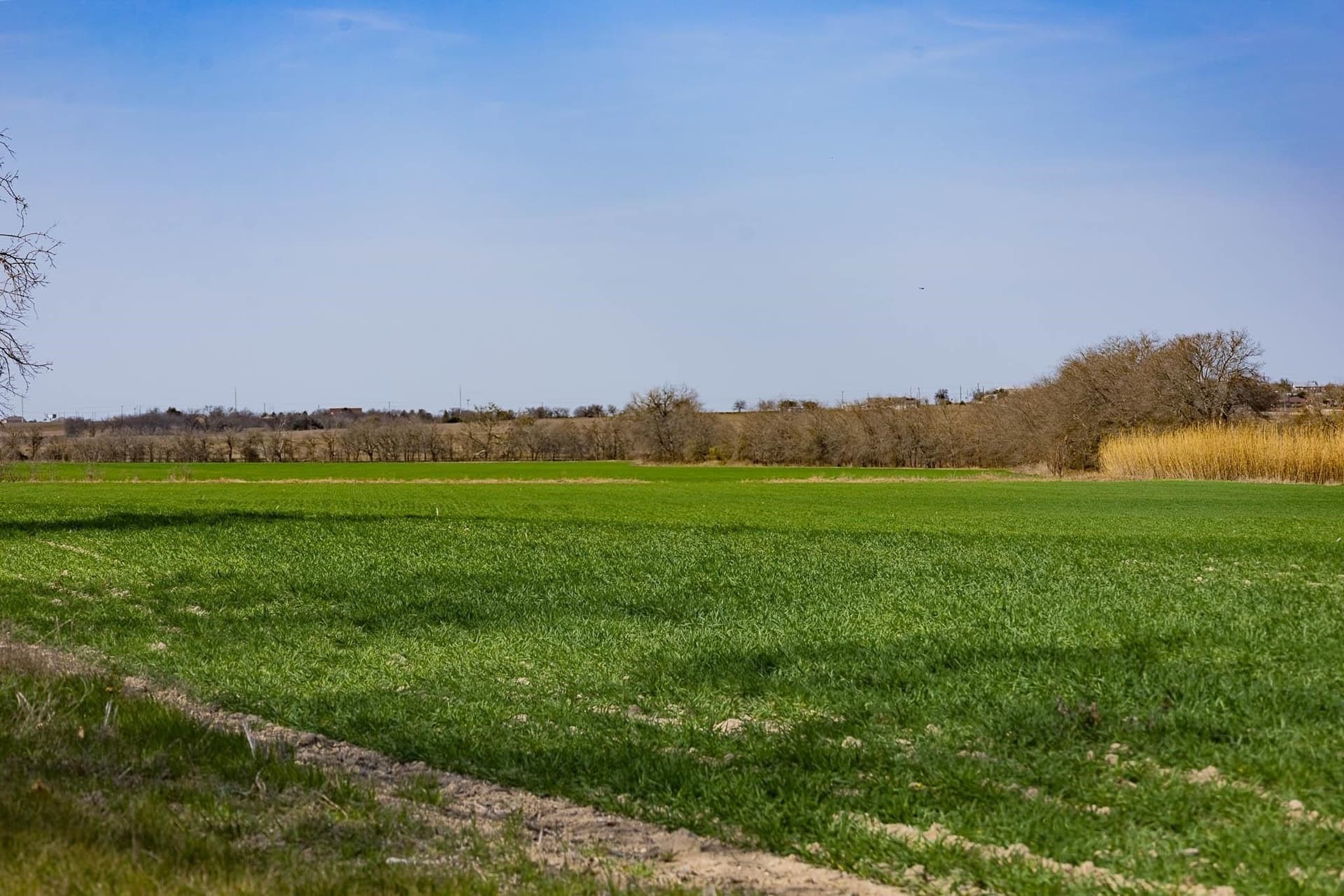 48.31 acres in Williamson County - photo 15