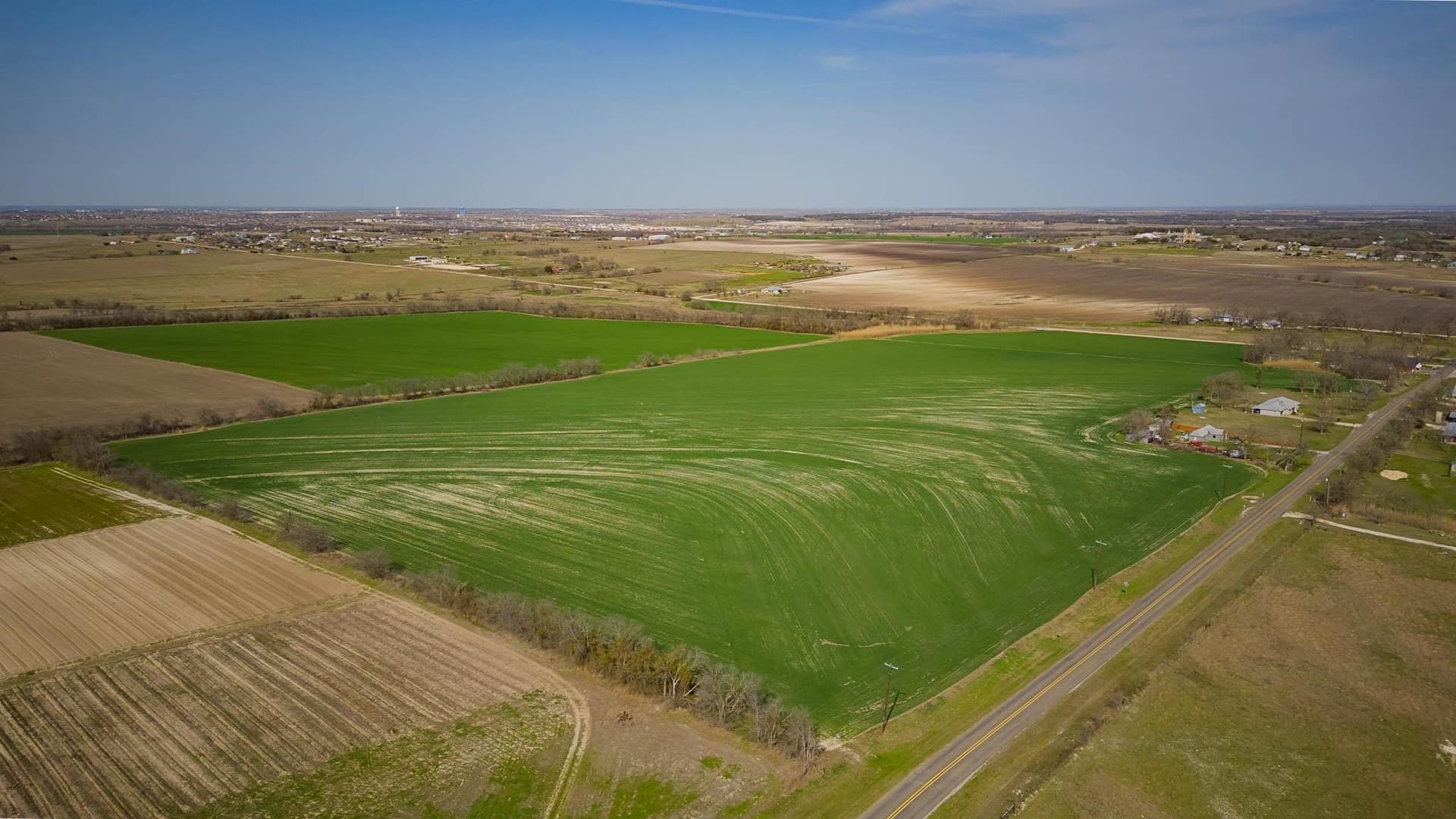 48.31 acres in Williamson County - photo 6