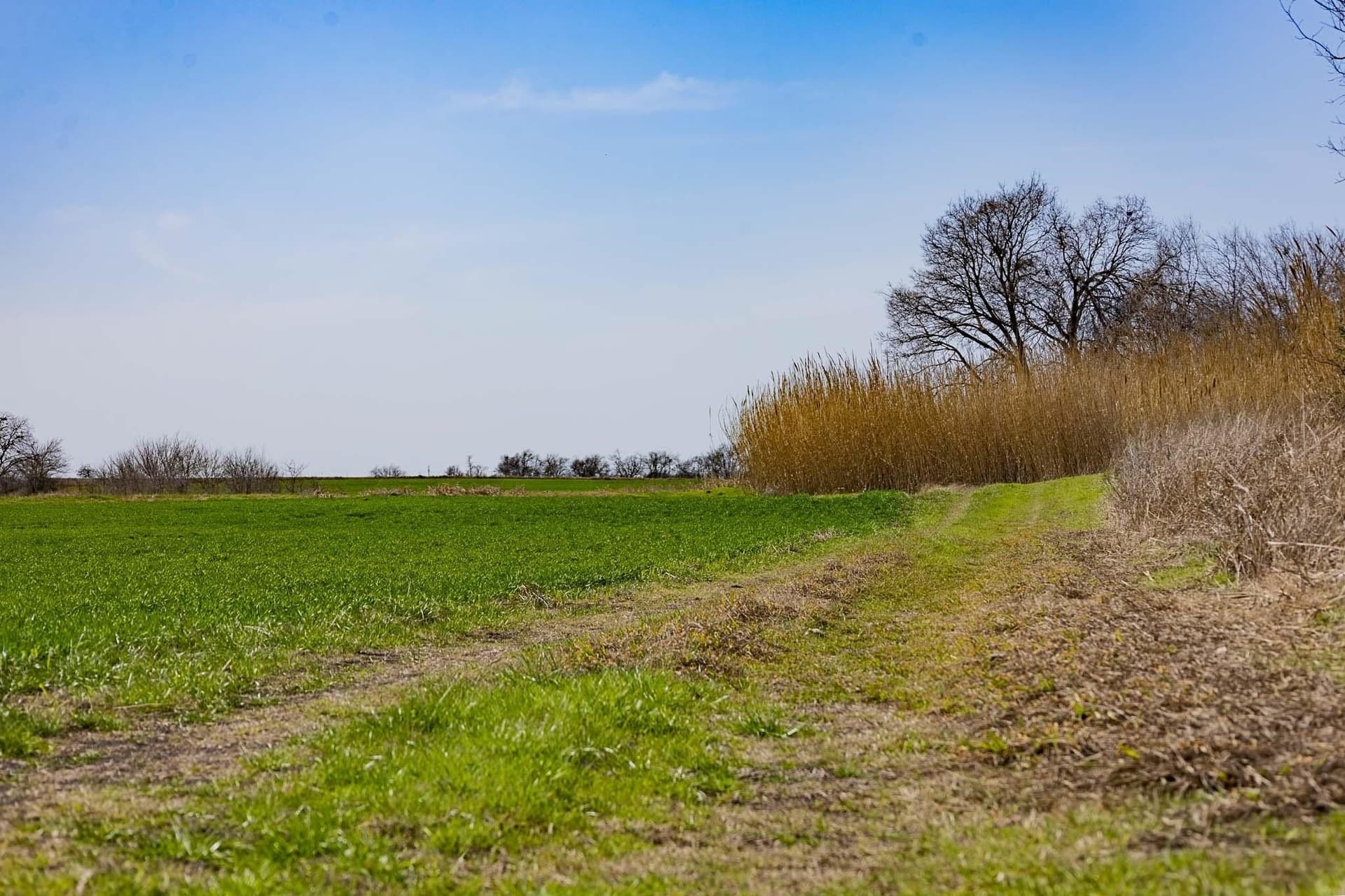 48.31 acres in Williamson County - photo 11