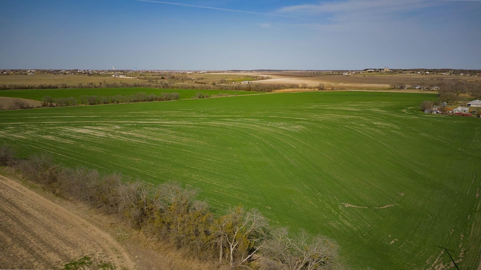 48.31 acres in Williamson County - photo 8