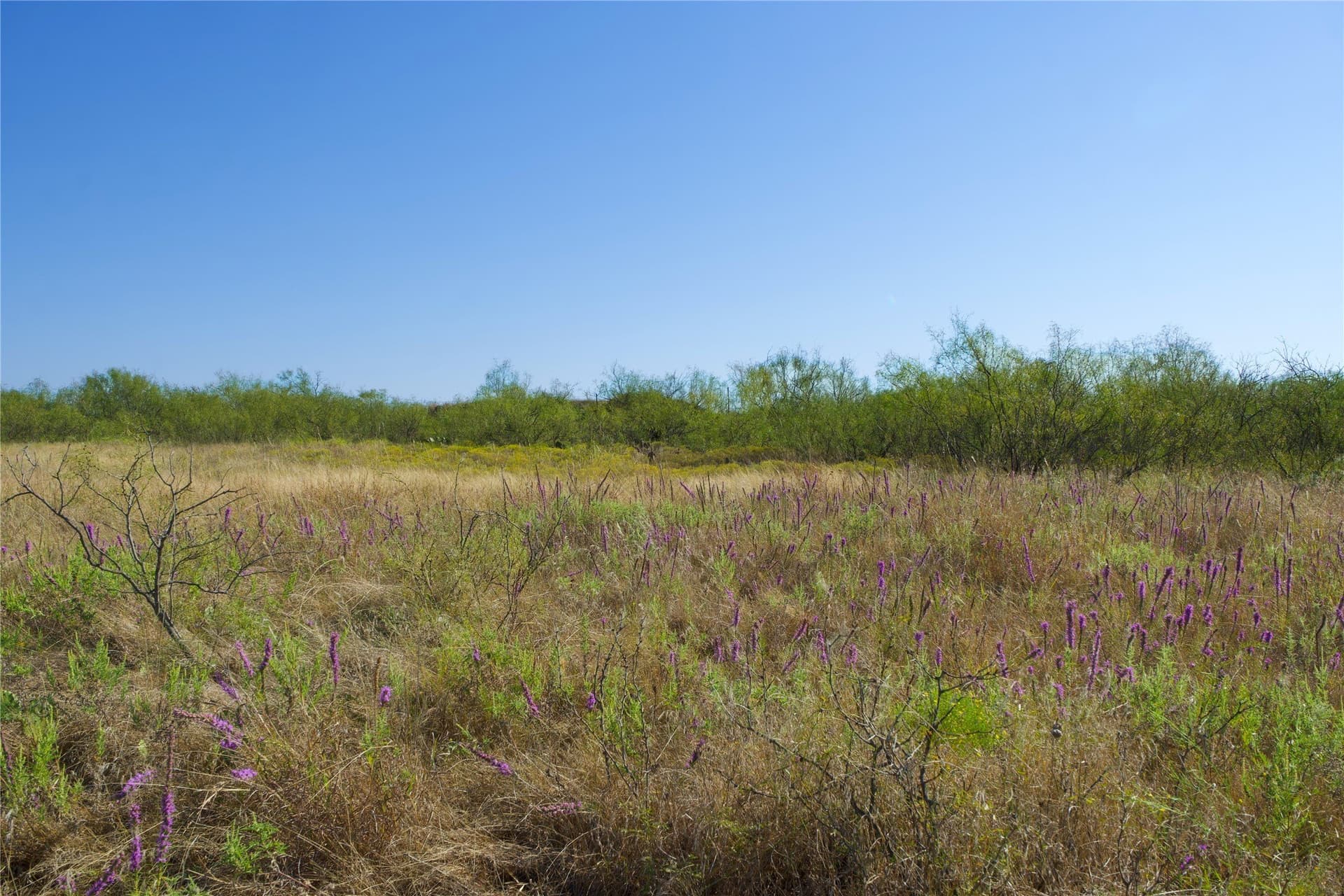 174.85 acres in Montague County - photo 9