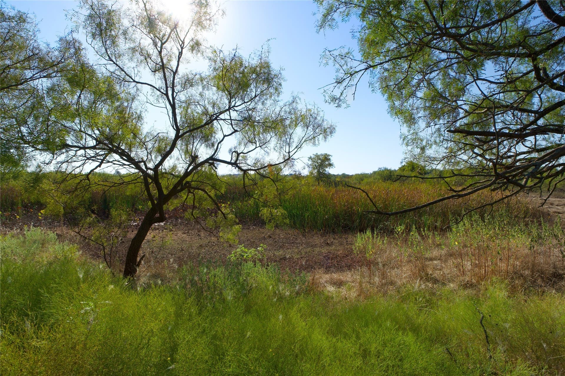 174.85 acres in Montague County gallery image 2