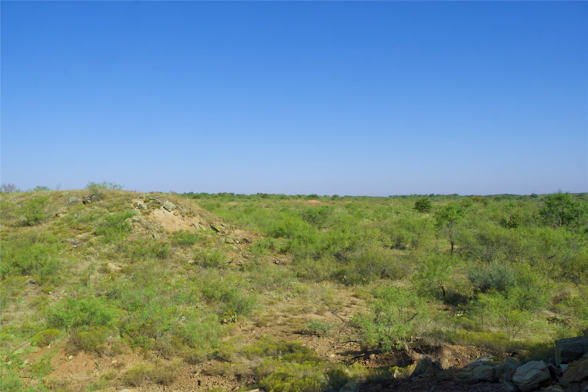 174.85 acres in Montague County featured view