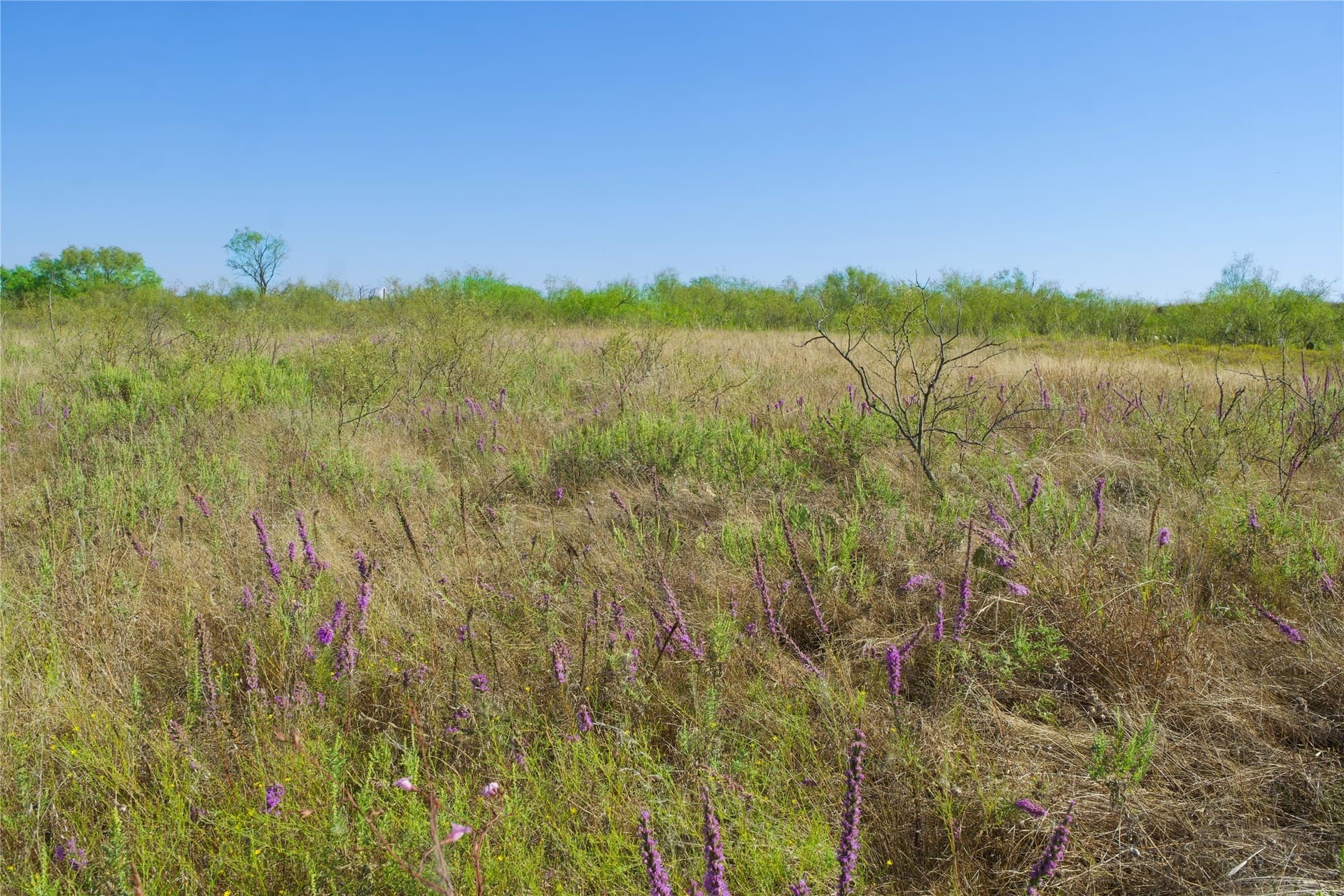 174.85 acres in Montague County - photo 10