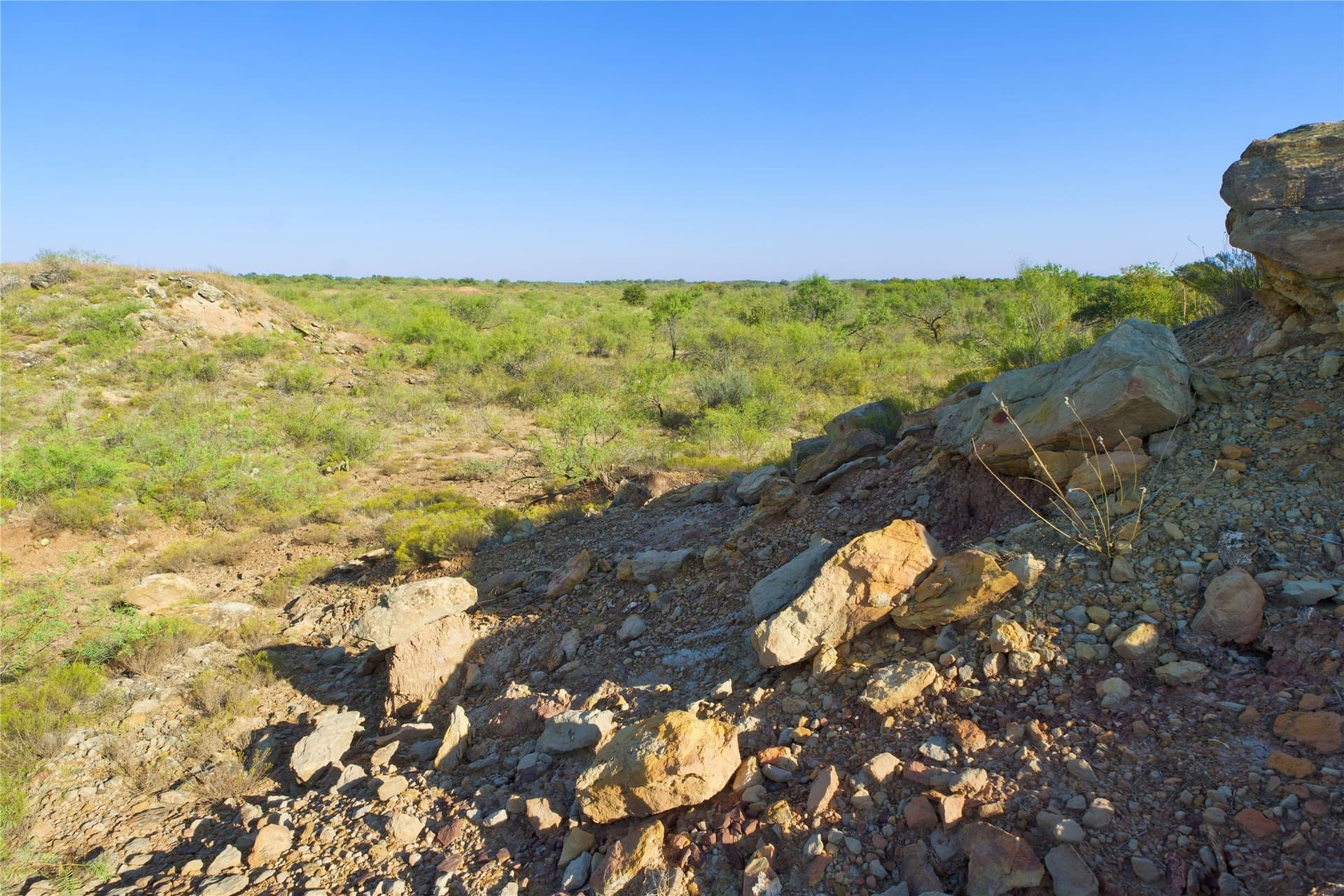 174.85 acres in Montague County - photo 6