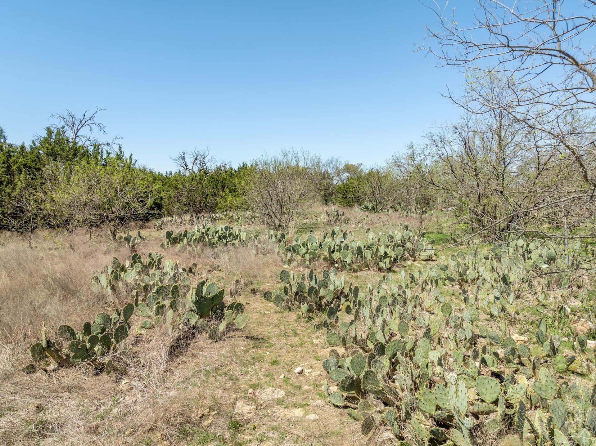 22.89 acres in Coryell County - photo 14