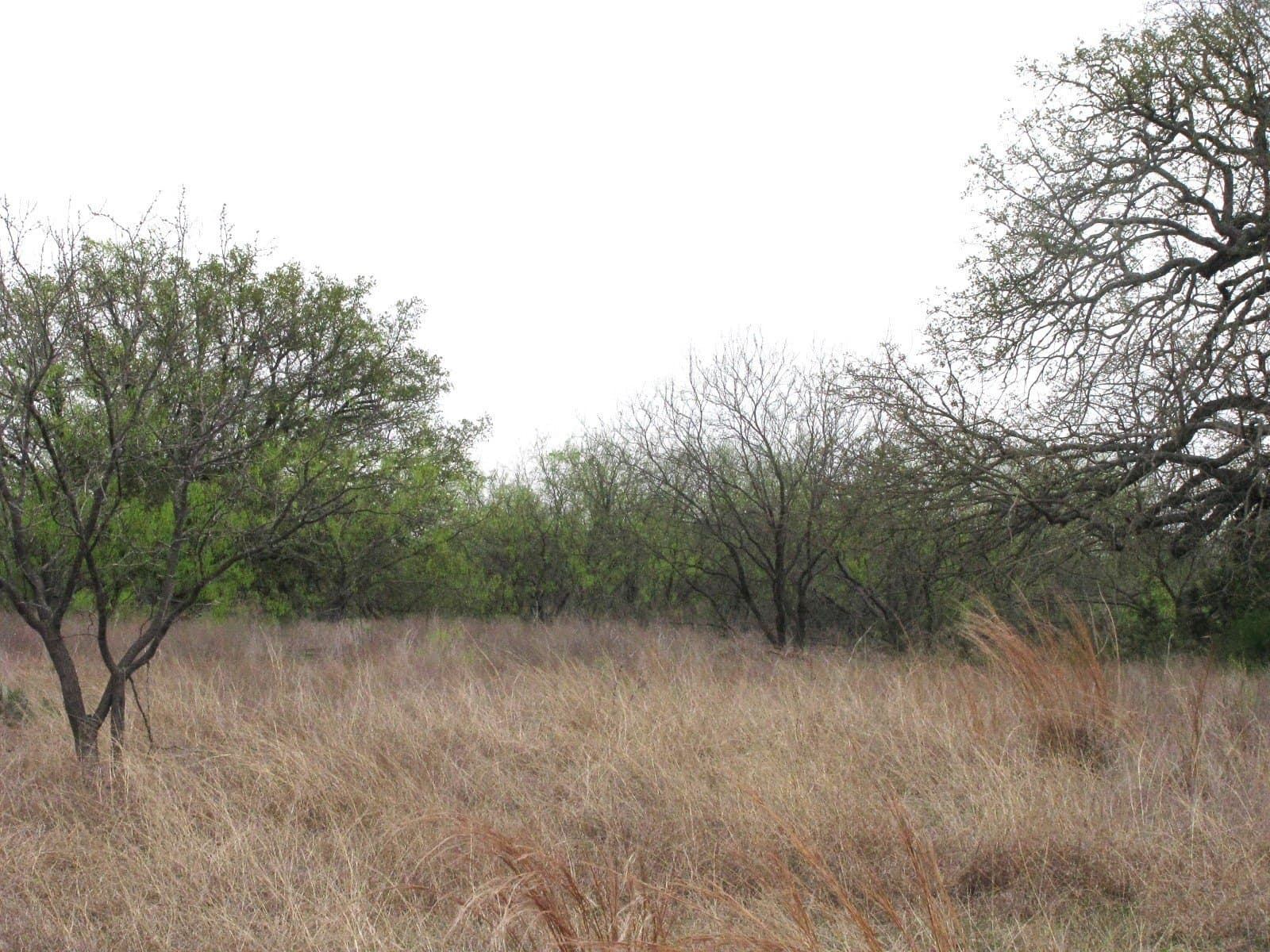 22.89 acres in Coryell County - photo 24