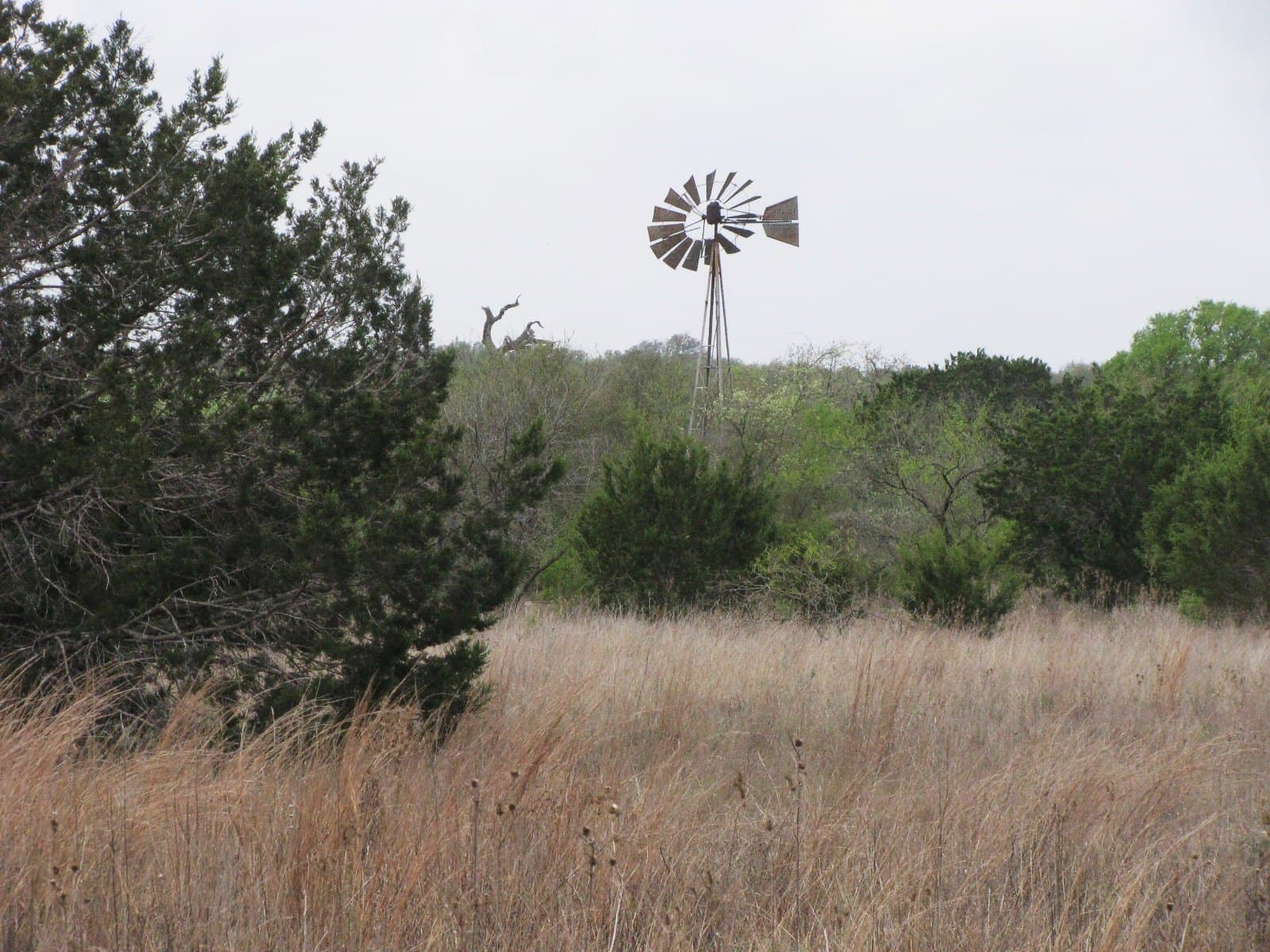 22.89 acres in Coryell County - photo 12