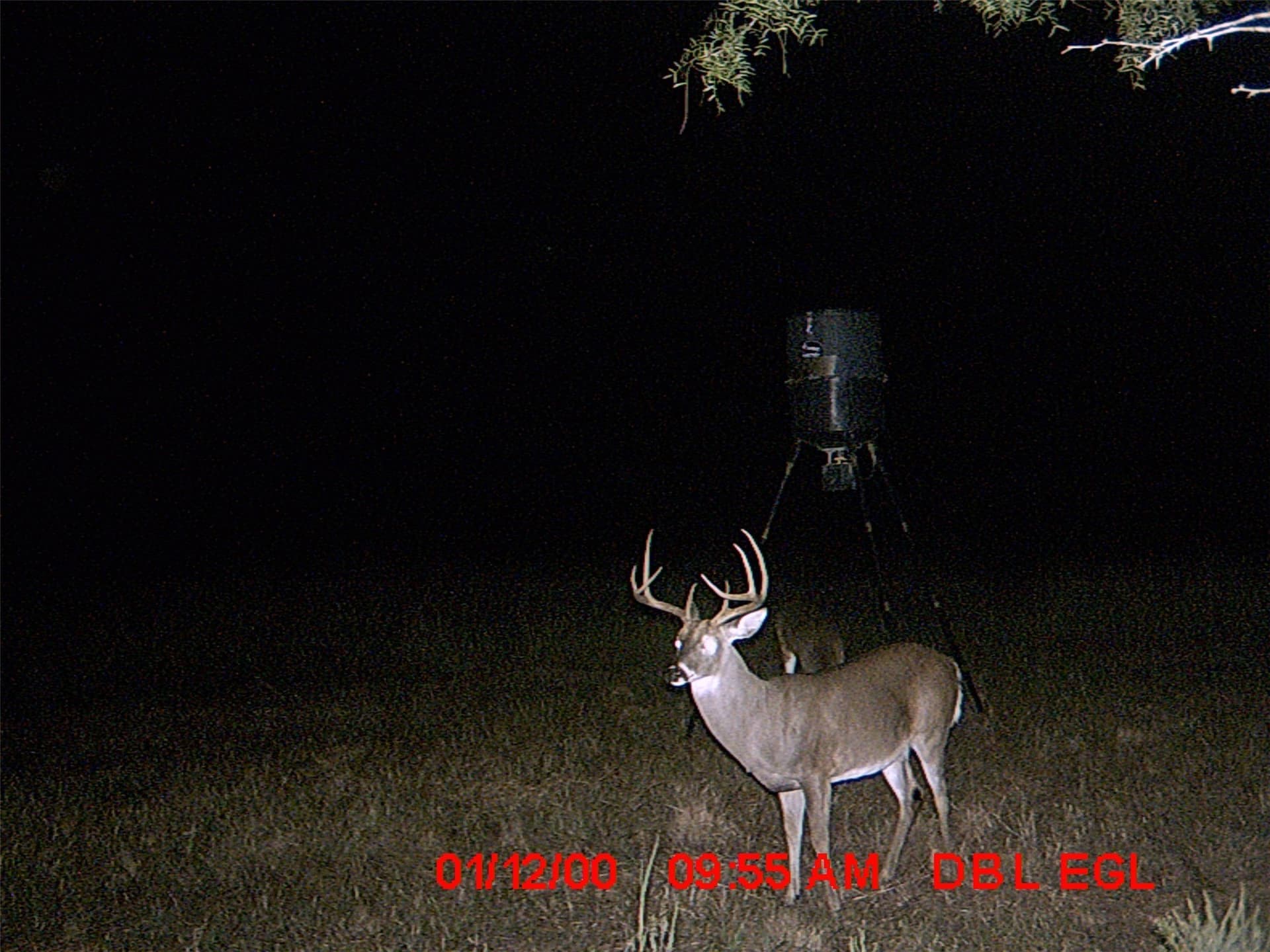 22.89 acres in Coryell County - photo 27