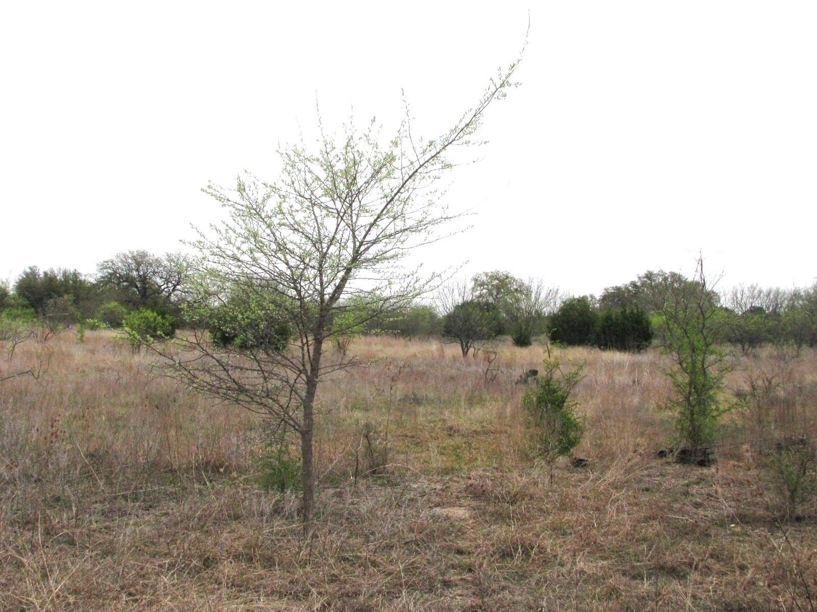 22.89 acres in Coryell County - photo 26